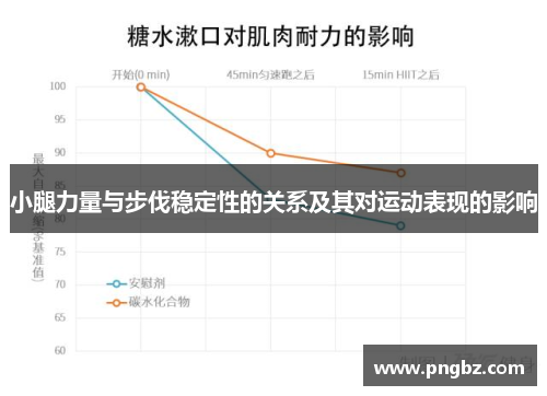 小腿力量与步伐稳定性的关系及其对运动表现的影响