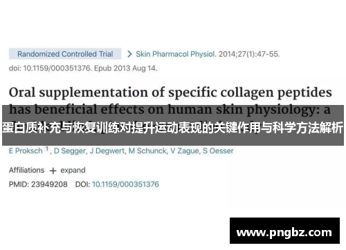 蛋白质补充与恢复训练对提升运动表现的关键作用与科学方法解析